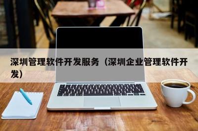 深圳管理软件开发服务 满足现代企业需求的全面解决方案