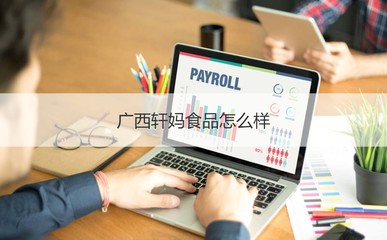 广西轩妈食品公司概览 工作时间、发展与计算机软硬件业务